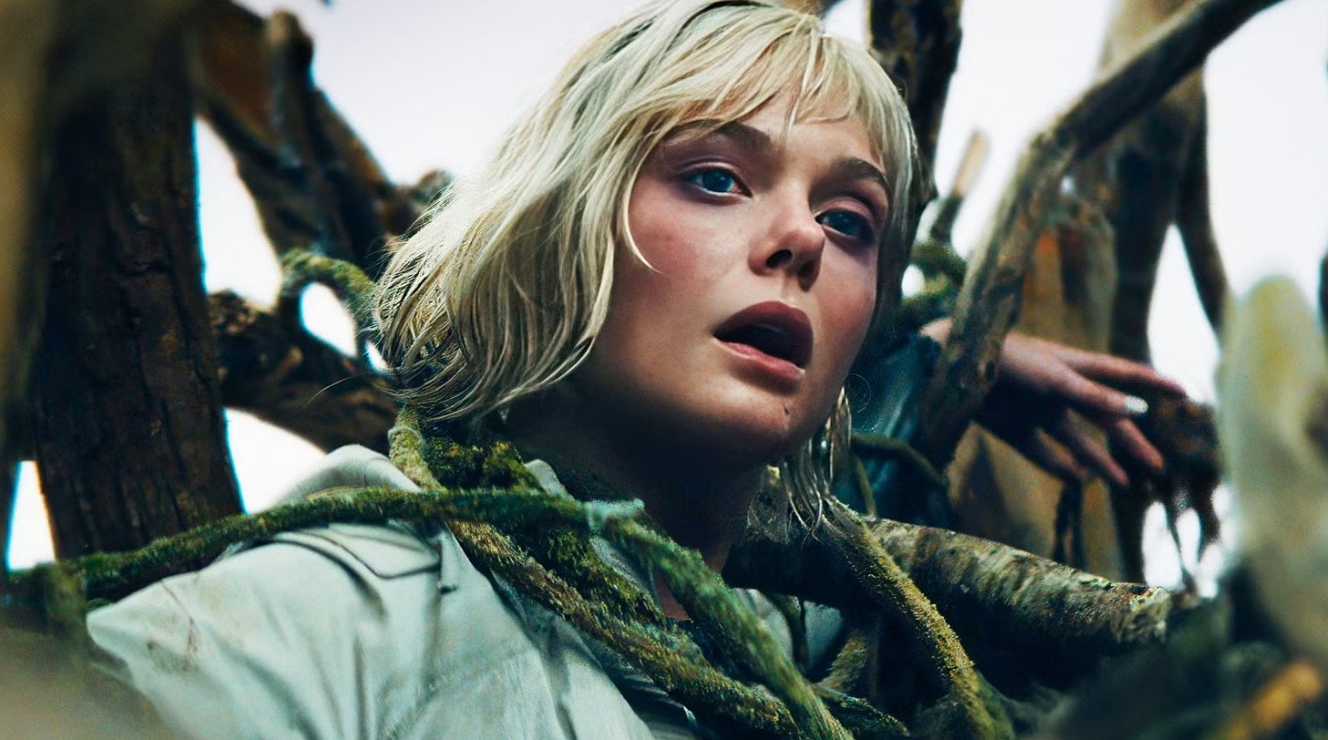 Predador: Terras Selvagens quebra tradição de 38 anos da franquia com nova classificação indicativa